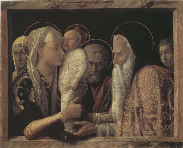 Andrea Mantegna The Presentaion in the Temple